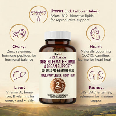 PRIMARA 5 Grassfed Beef Organs - Ovary Uterus Liver Kidney Heart