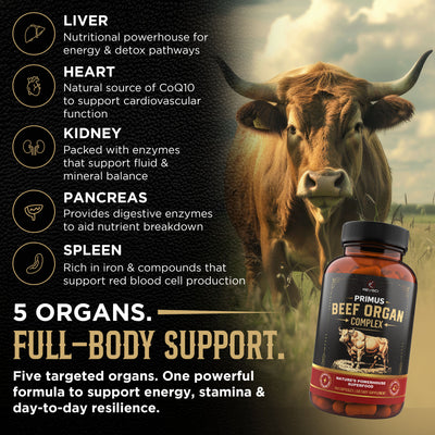 PRIMUS Grass Fed Beef Organ Supplement for Men & Women - Ancestral Blend 5 Organ Complex & BioPerine for Absorption, Vitality, Energy, Recovery, 180 Capsules