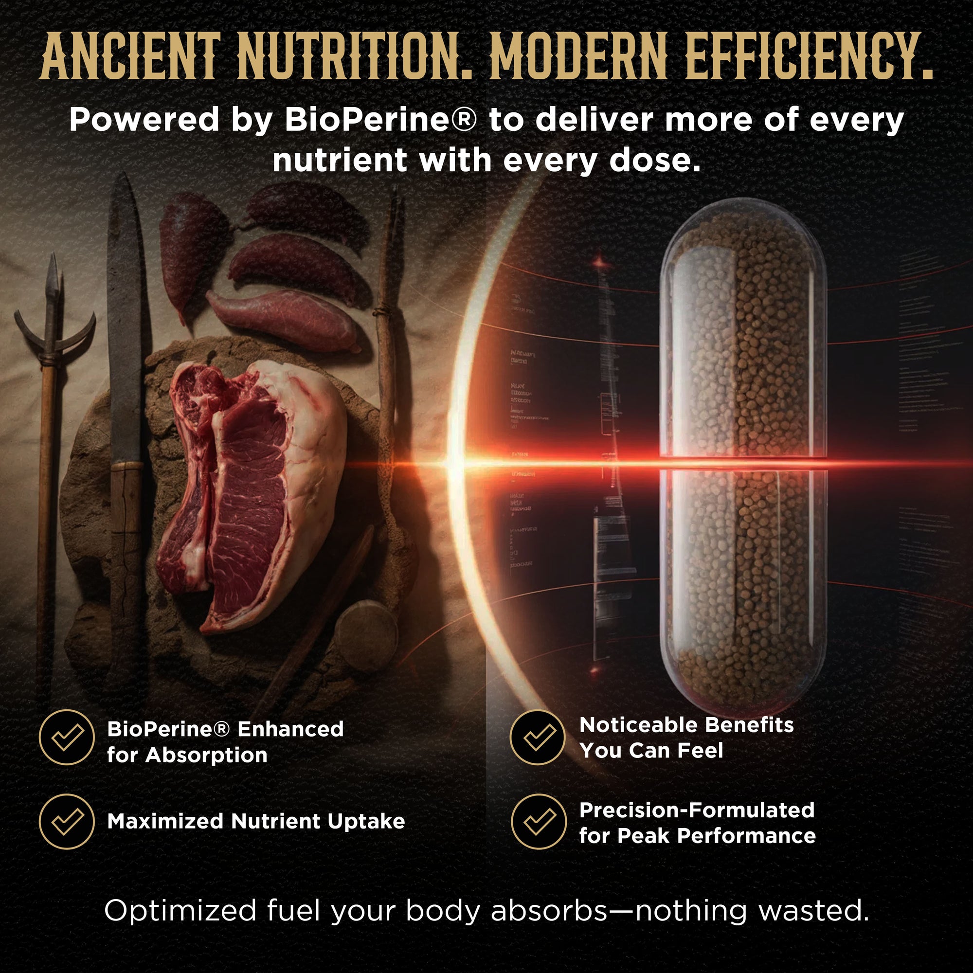 PRIMUS Grass Fed Beef Organ Supplement for Men & Women - Ancestral Blend 5 Organ Complex & BioPerine for Absorption, Vitality, Energy, Recovery, 180 Capsules