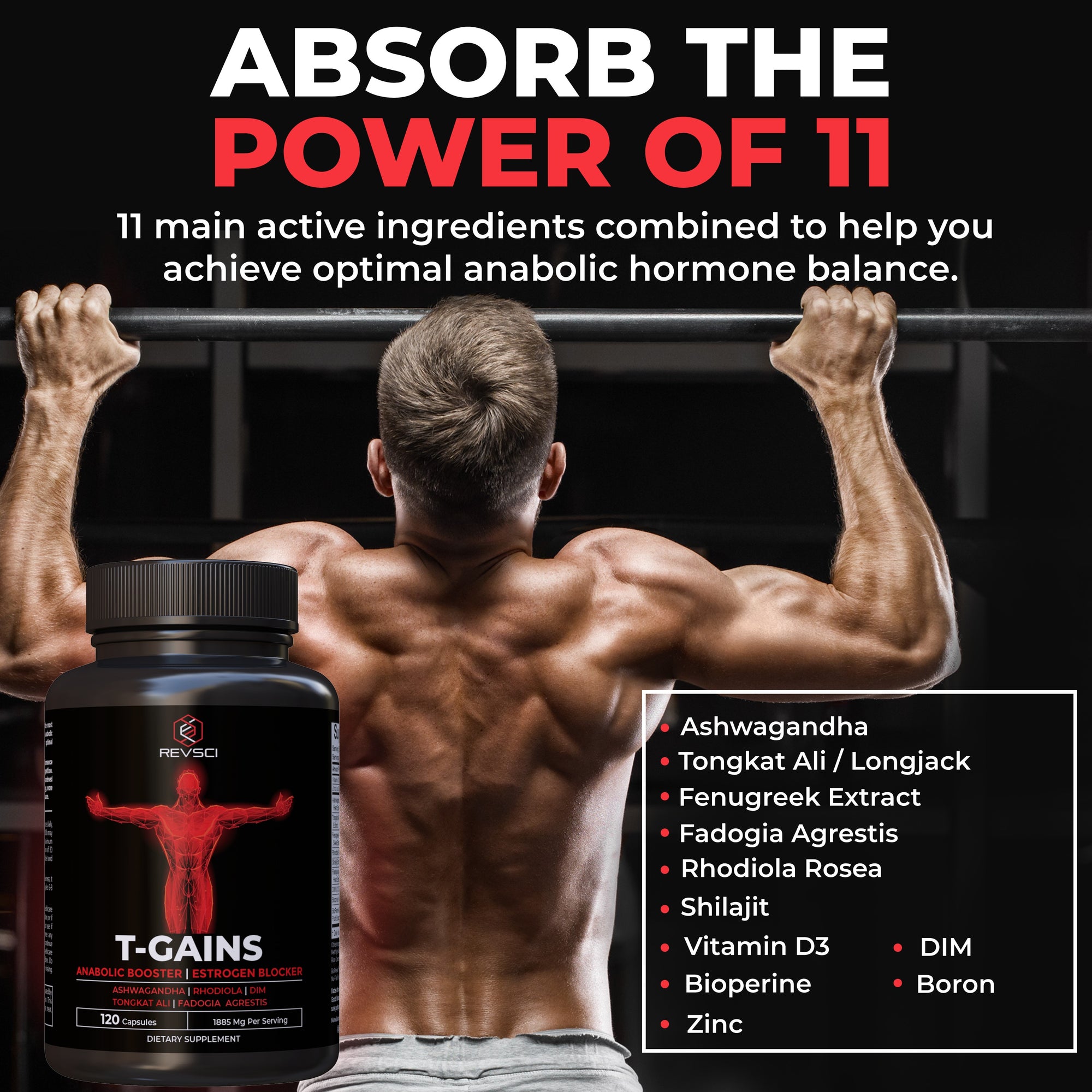 T-GAINS Testosterone Booster for Men for Muscle Growth (120 Caps) - Boosts Endurance, Strength, & Energy - Testosterone Supplement for Men, TRT Test Booster & Estrogen Blocker - HGH Supplements