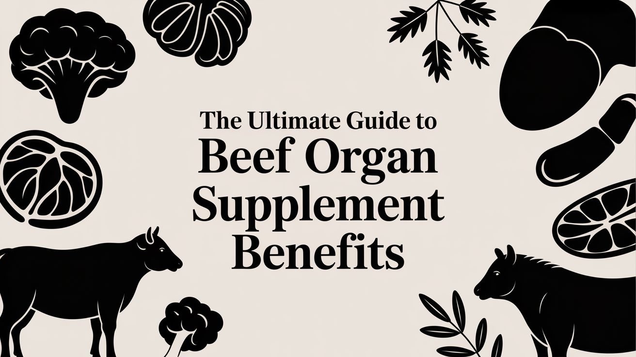 The Ultimate Guide to Beef Organ Supplement Benefits