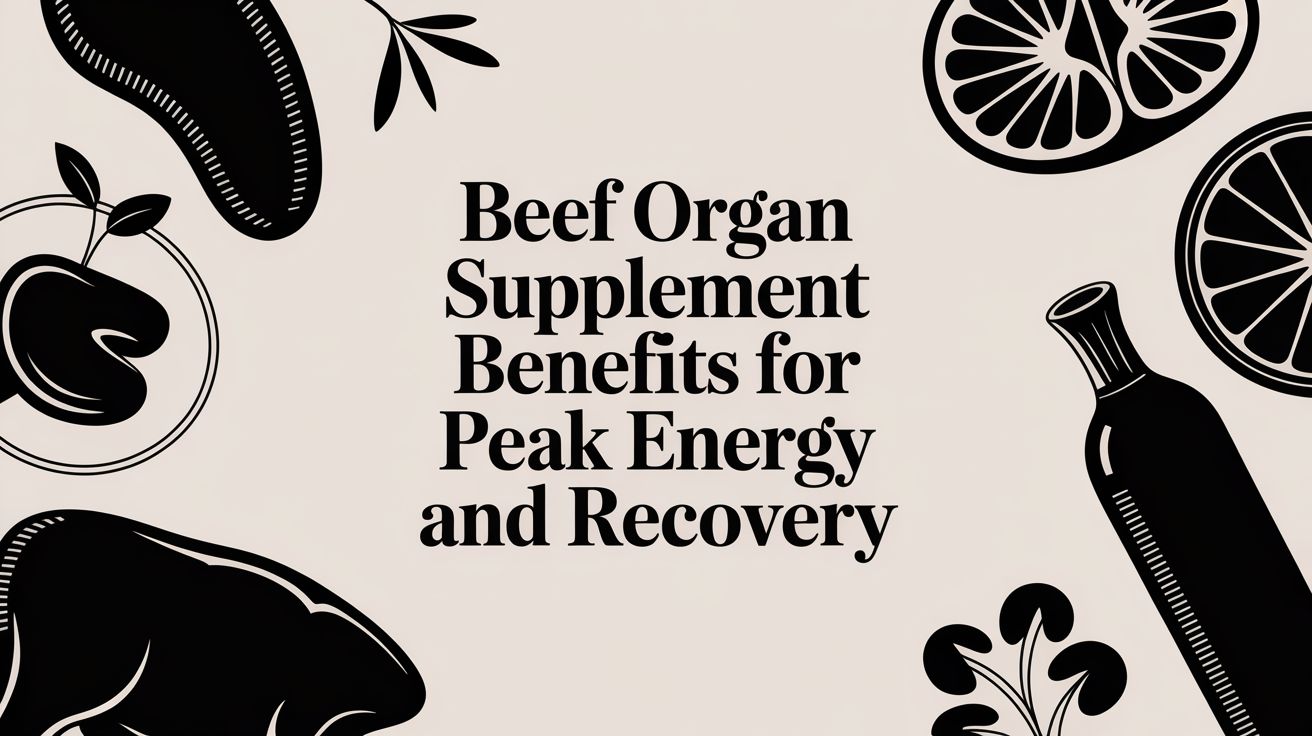 Beef Organ Supplement Benefits for Peak Energy and Recovery