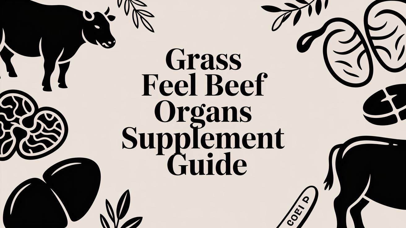 Grass Fed Beef Organs Supplement Guide