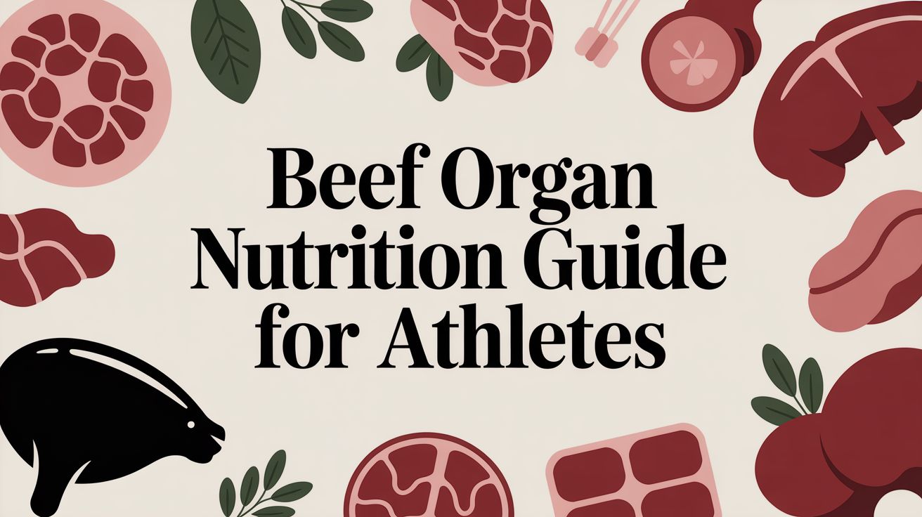 Beef Organ Nutrition Guide For Athletes