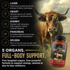 PRIMUS Grass Fed Beef Organ Supplement for Men & Women - Ancestral Blend 5 Organ Complex & BioPerine for Absorption, Vitality, Energy, Recovery, 180 Capsules