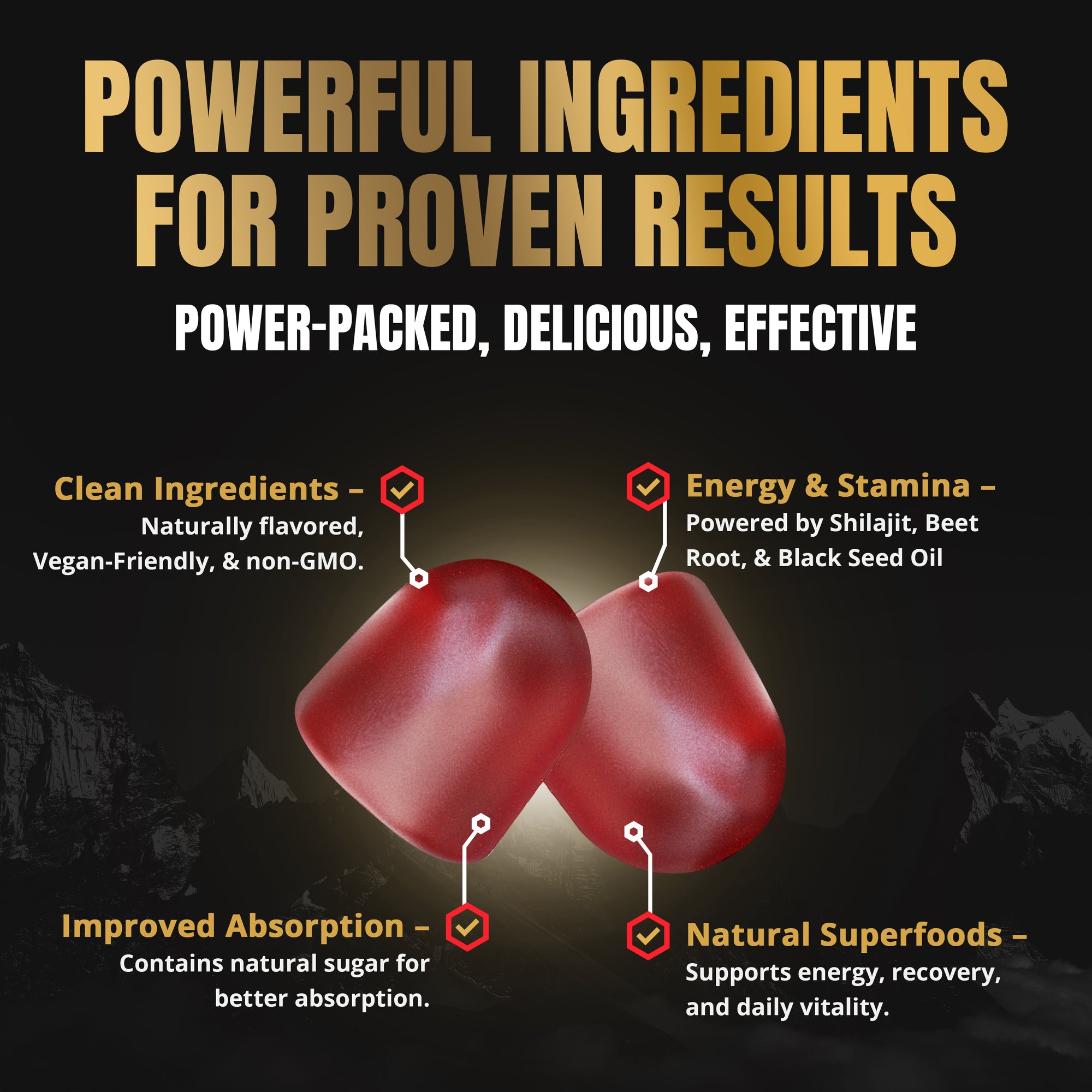 TRUE Shilajit Gummies – Pure Himalayan Blend with Ashwagandha & Sea Moss for Daily Energy & Focus