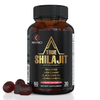 TRUE Shilajit Gummies – Pure Himalayan Shilajit for Men & Women, Shilajit Ashwagandha & Sea Moss Blend, Gold Shilajit Gummies for Energy, Focus & Vitality